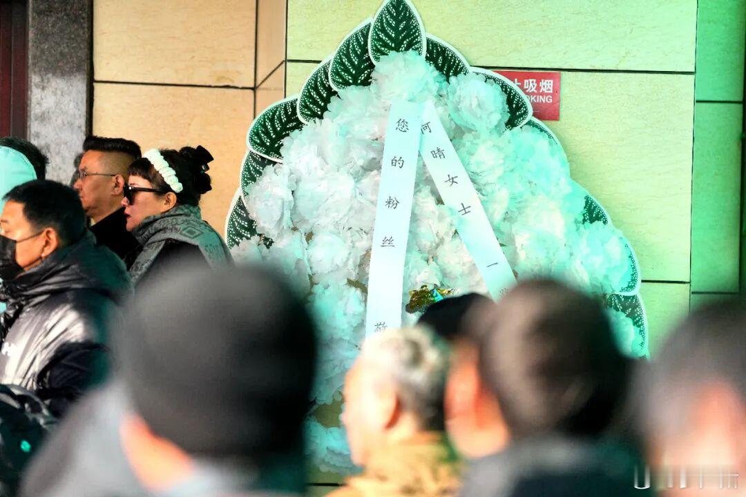 何晴这场雪好像是刻意为她下的今天（12月15日）上午，何晴的告别仪式在北京昌平