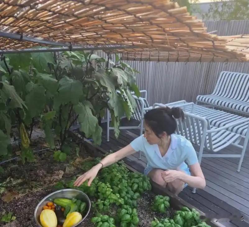 李英爱豪宅菜园曝光！54岁素颜皮肤白到发光，亲自摘茄子过田园生活！[赞][赞][