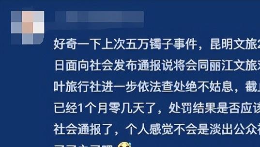 荒唐! 云南旅游不买东西不让出门, 问责名单公布, 处罚结果引争议