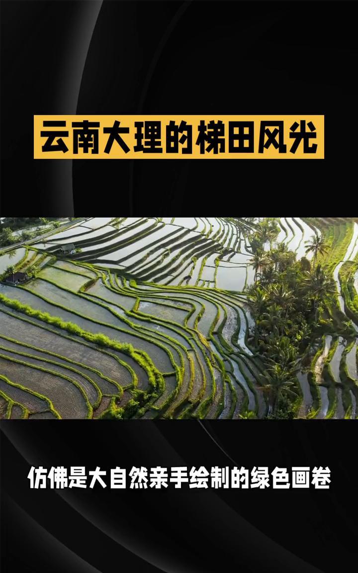 云南大理的梯田风光。盛夏时节，哪里才是人间仙境？让我们一起走进云南大理，探寻那