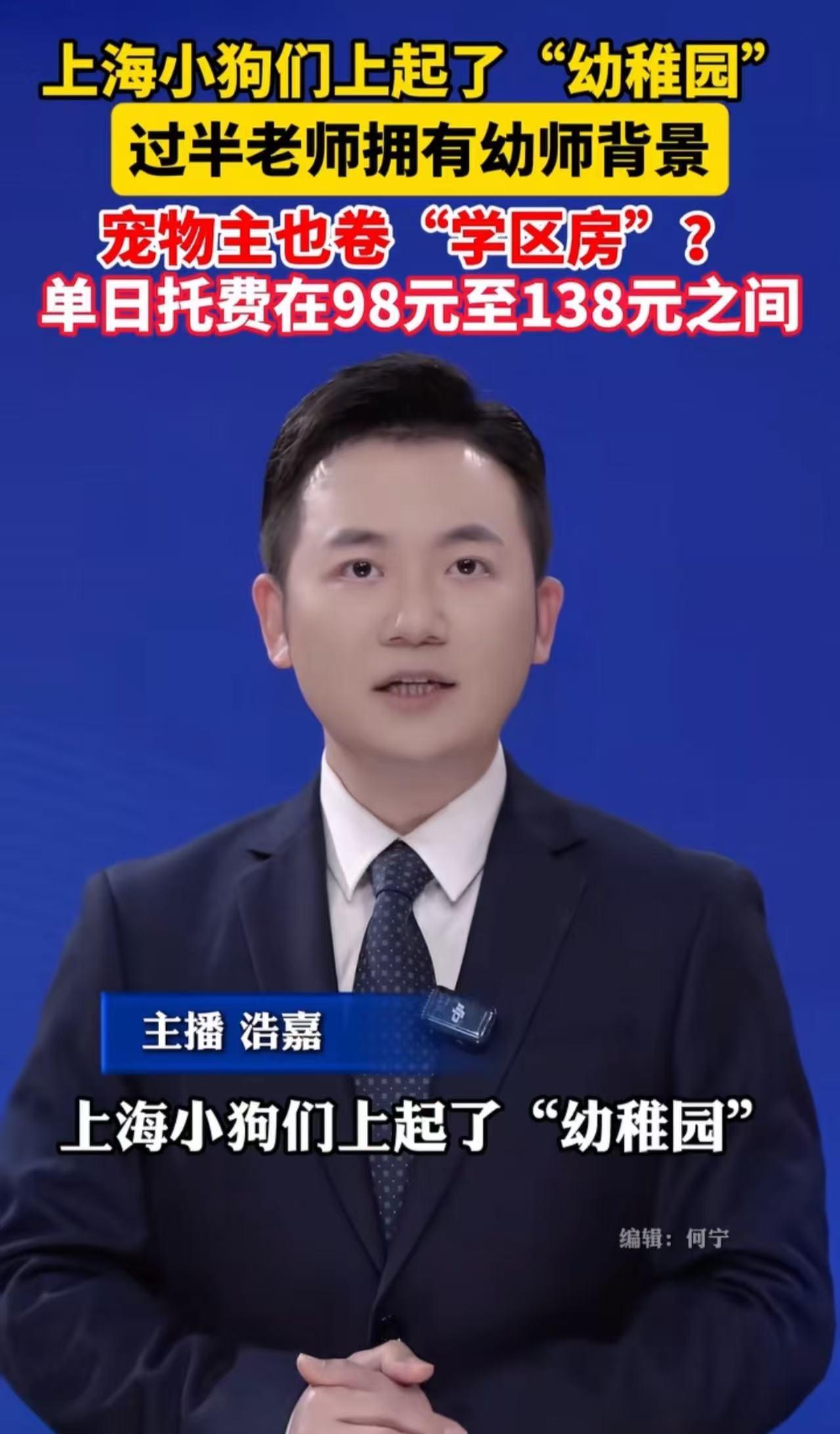 "这个世界太疯狂了，人活的像狗，狗活的像人！"上海小狗们上起了幼稚园，多半老师