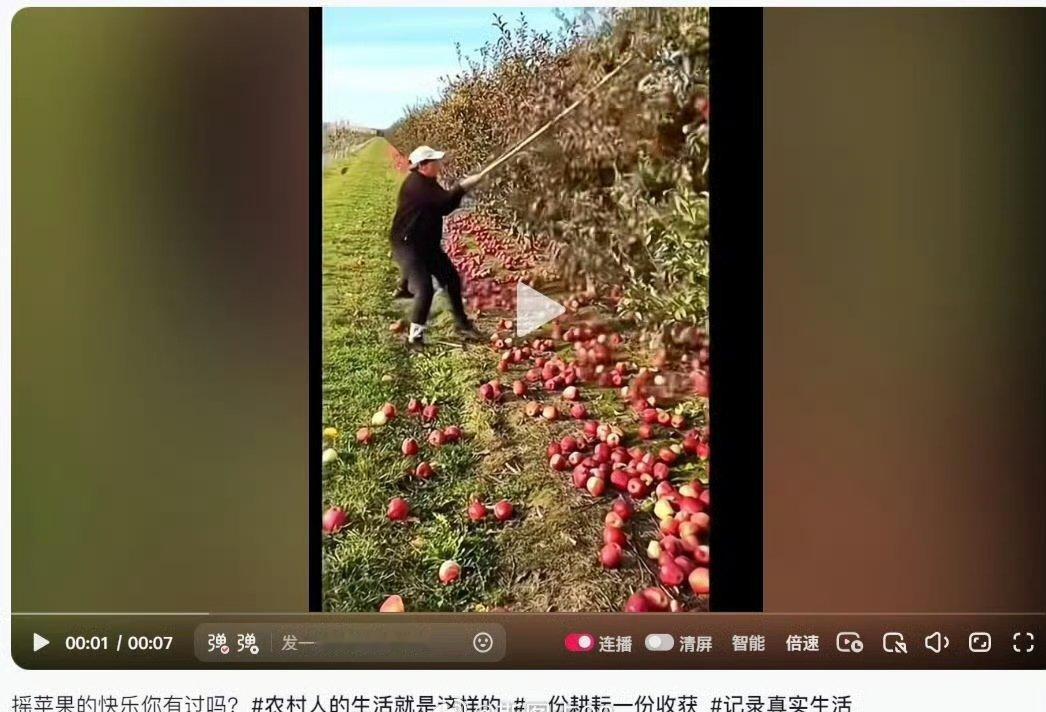 日本人盗用中国果农收获视频，放到网上说是中国游客在日本破坏果园、非法摘取果实！然
