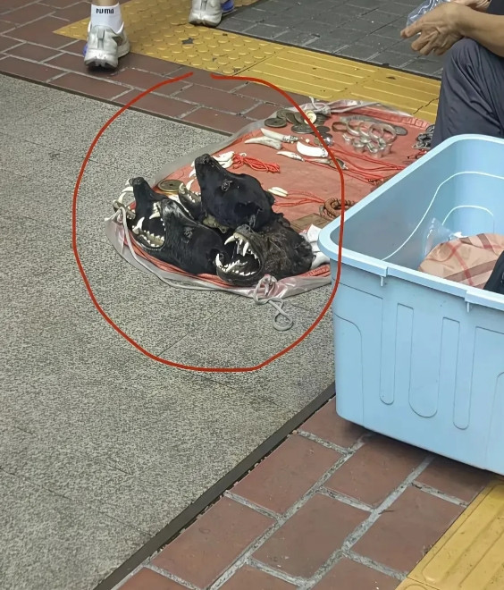 重庆街头上的一幕，不得不说，惊呆了。[捂脸哭][捂脸哭][捂脸哭][捂脸哭]