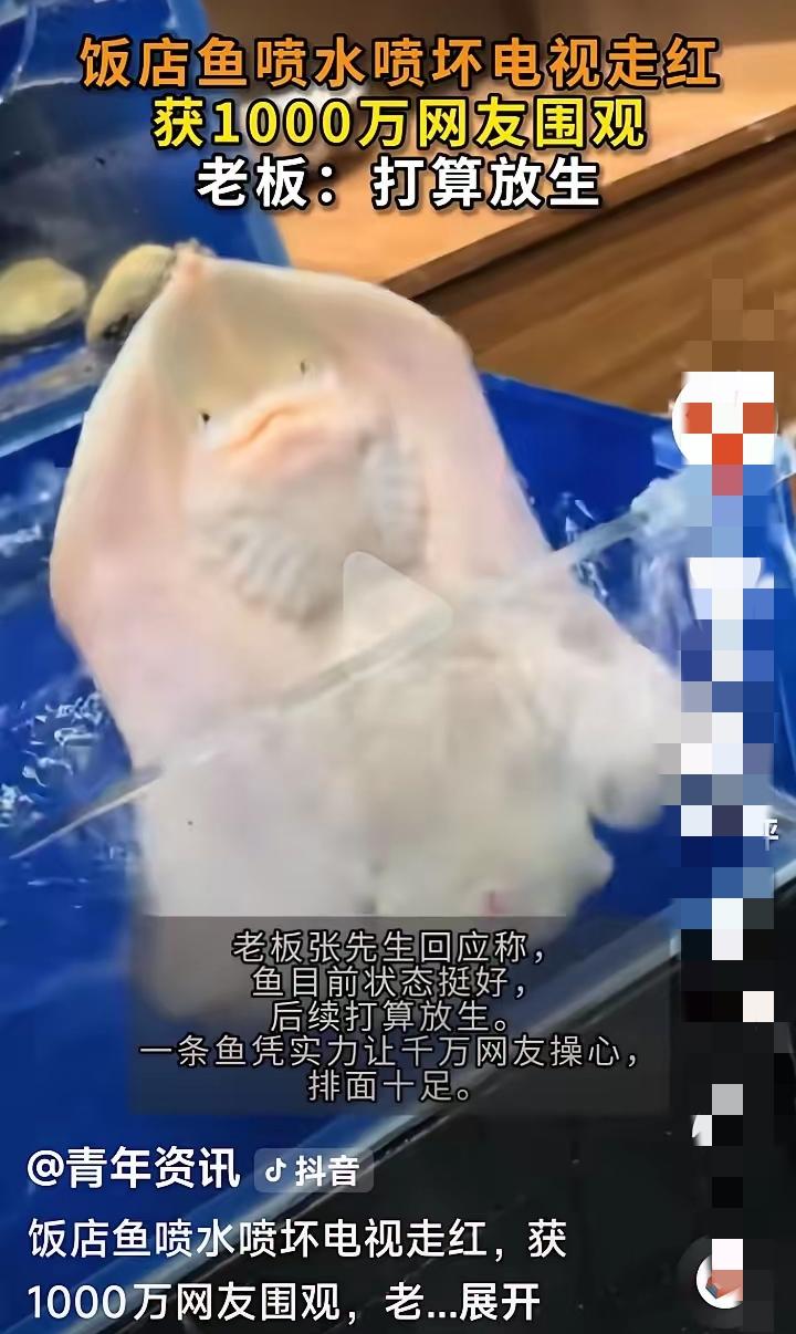 真离谱！大连饭店老板鱼成精，半夜精准喷水喷坏电视，千万网友笑疯最近网上这段