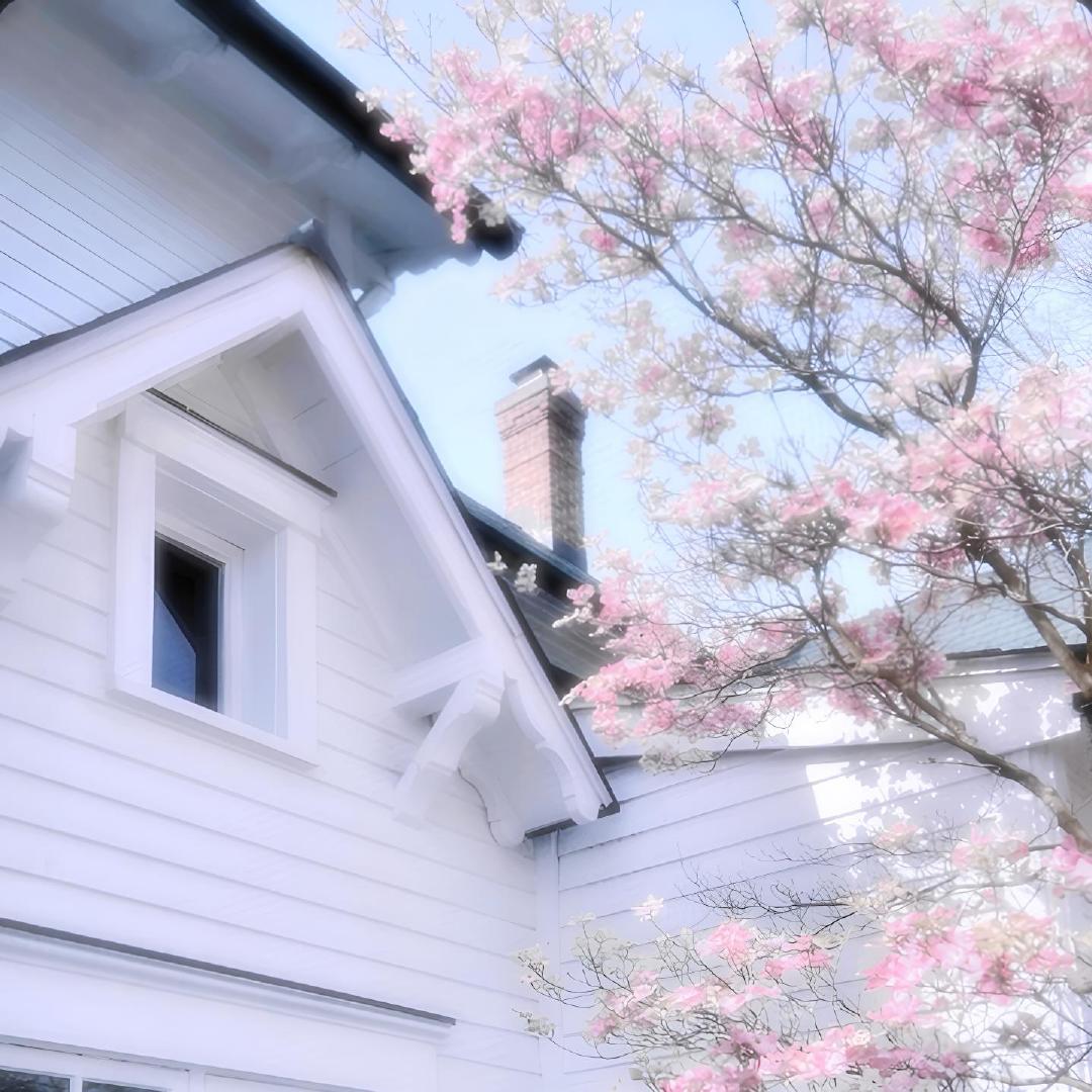 🌸樱の恋໒꒱粉色背景图WeChat背景图樱花紫色樱花粉色樱花冬天的樱