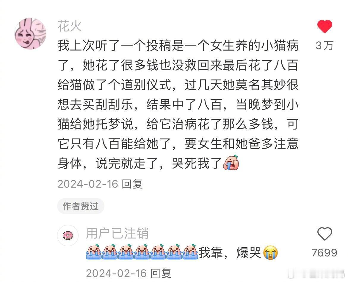 不管真假看完已经爆哭了​​​