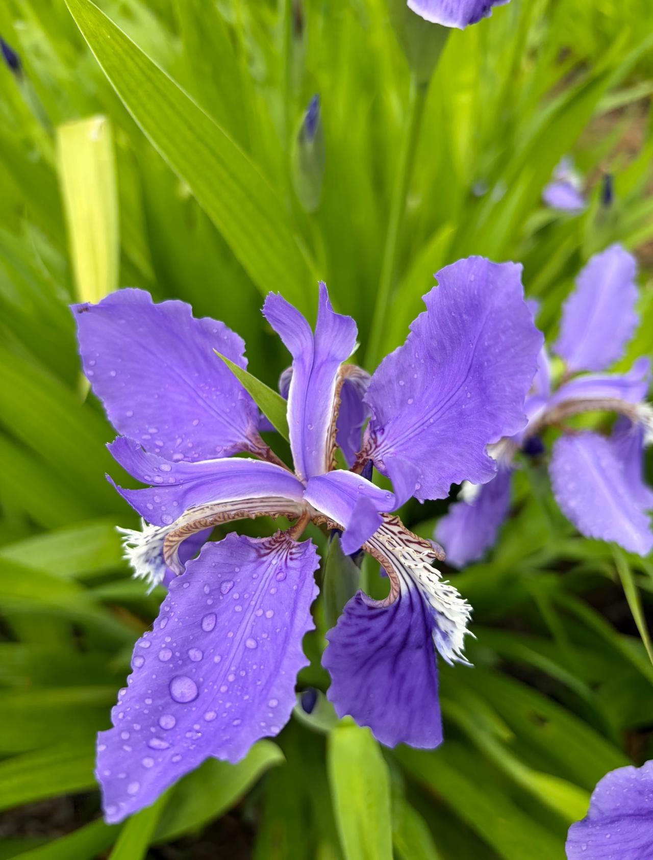 昨天晚上，我们去孩子爸的表姐家聚餐，一大家子亲戚坐在一起吃饭聊天。中途我顺口