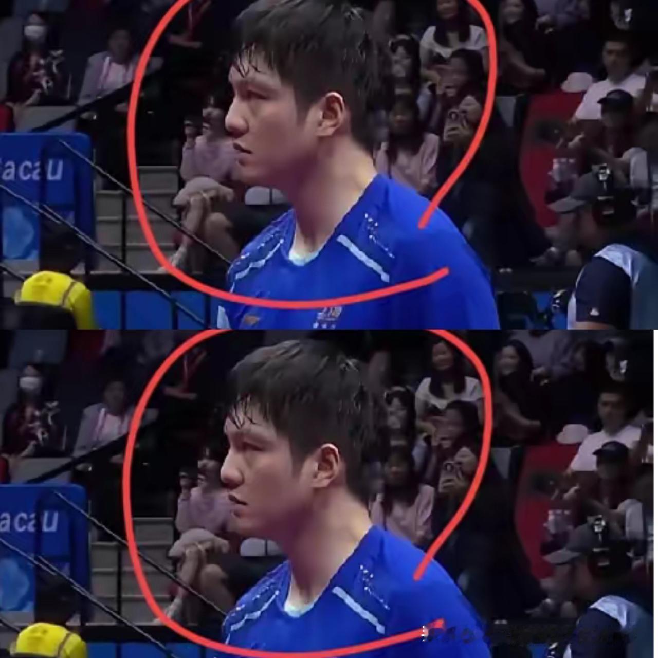 樊振东4-0周雨：一场“零封”背后，藏着最狠的兄弟情