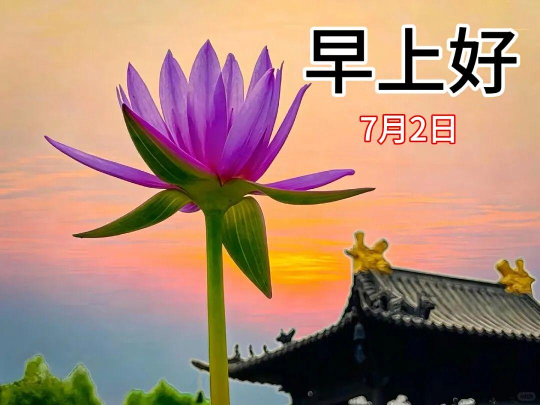 🤗😄😫🌞🎉仲夏清晨时分，风荷送来阵阵清香。轻声的问候声，祝愿您身体健康