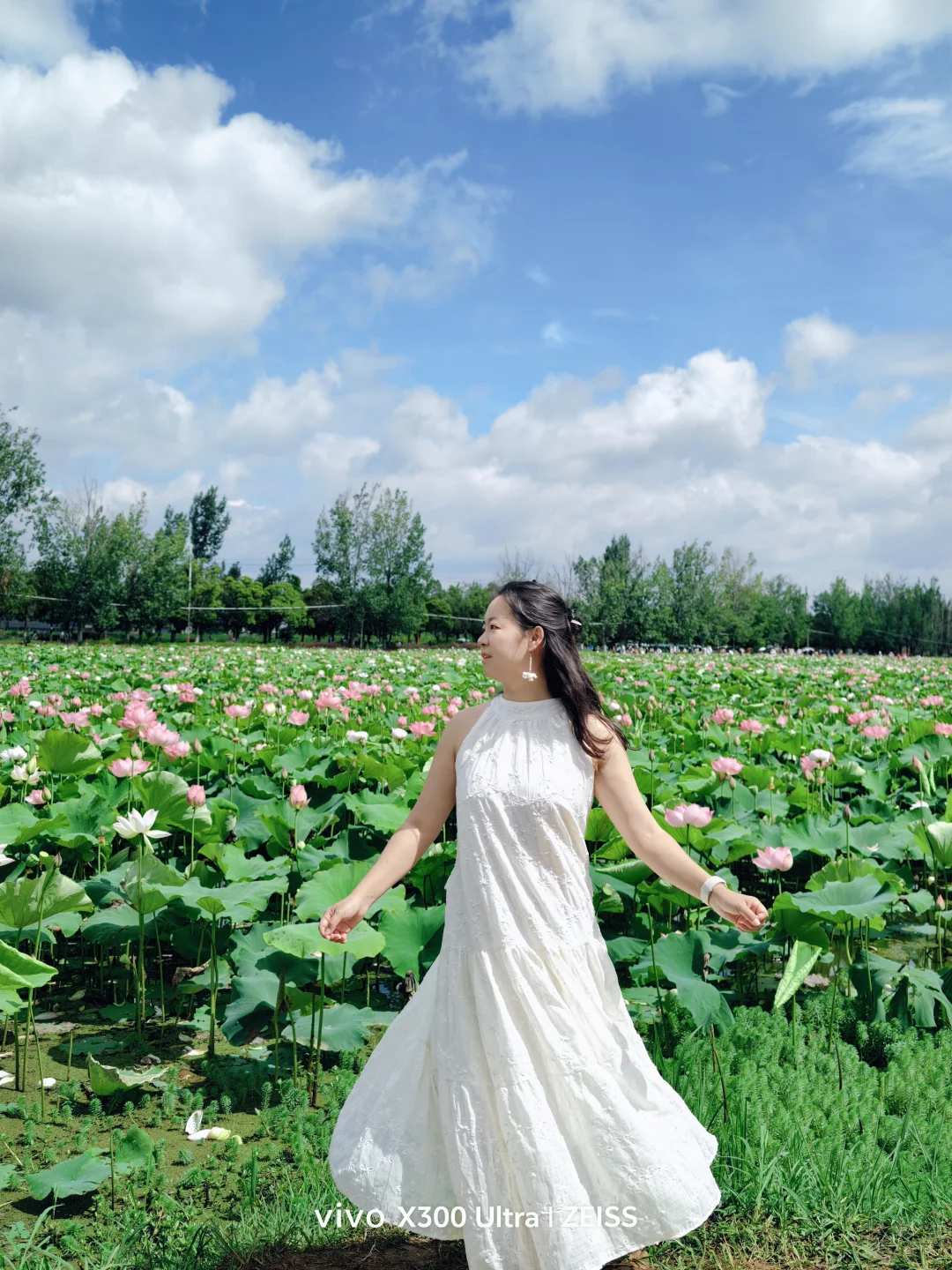 live💙荷花🪷，是夏天的诗