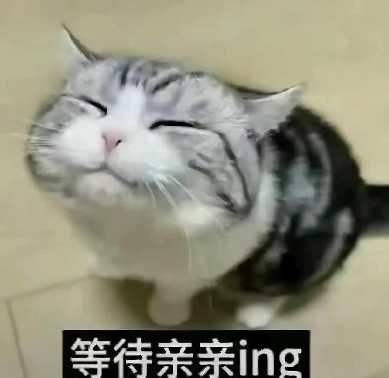 发生了什么？