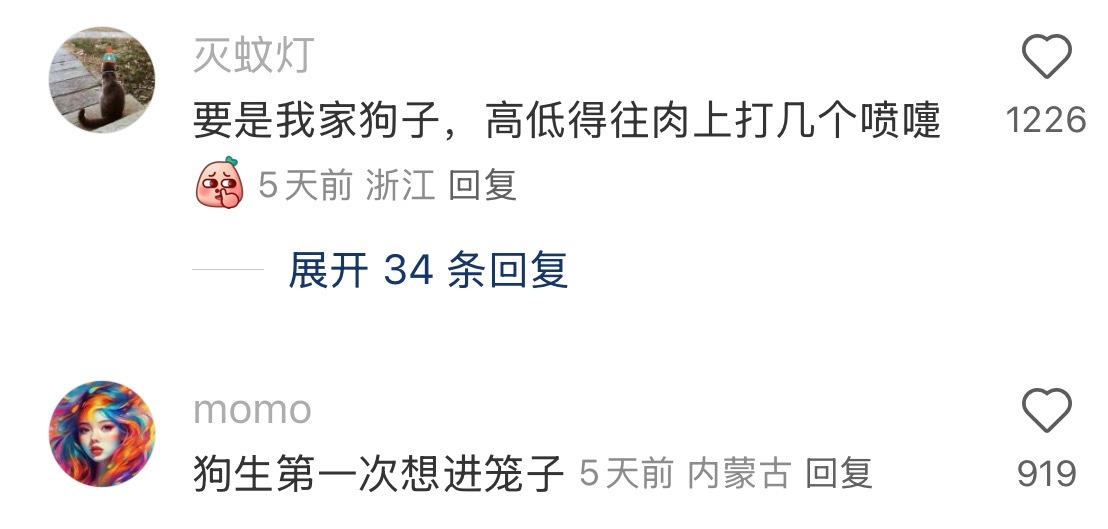 狗生第一次想进笼子