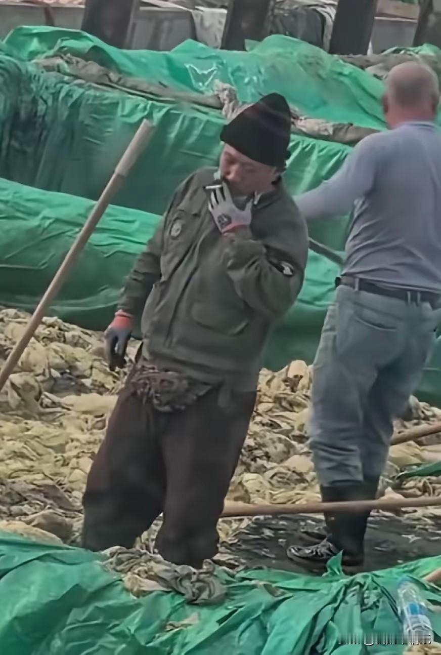 太恶心了！我发誓，从今以后绝不再碰外面卖的酸菜！也真心劝大家别再吃了！‌特别是东