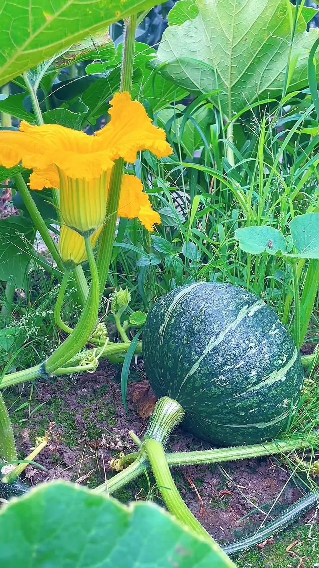 姥爷看了一辈子风水，临走前跟我说：人这辈子最好的风水，不在祖坟，不在房子朝向，都