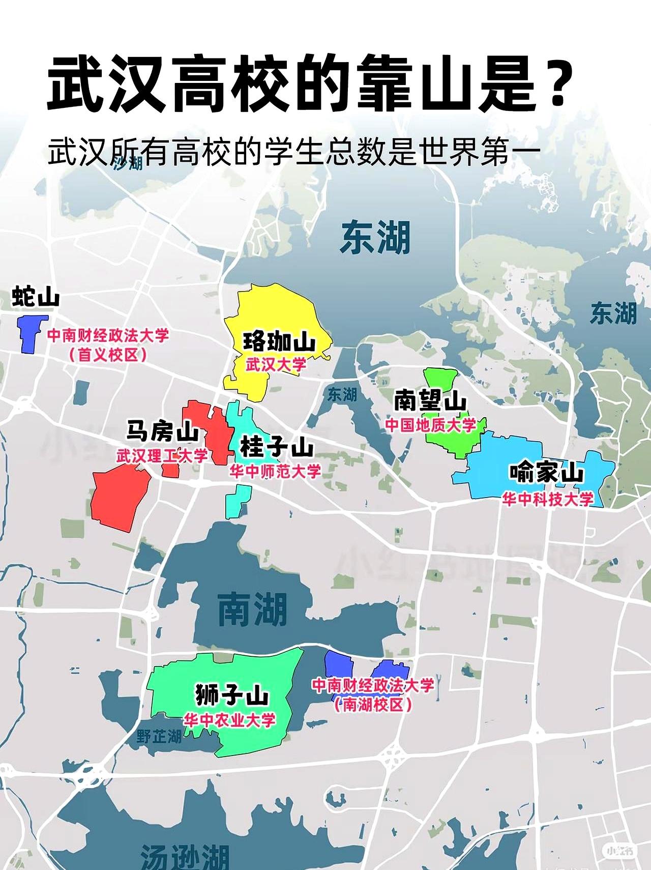 一座城，把大学安在山水之间。武汉高校学生总数居世界首位，这话落地有声。7所2