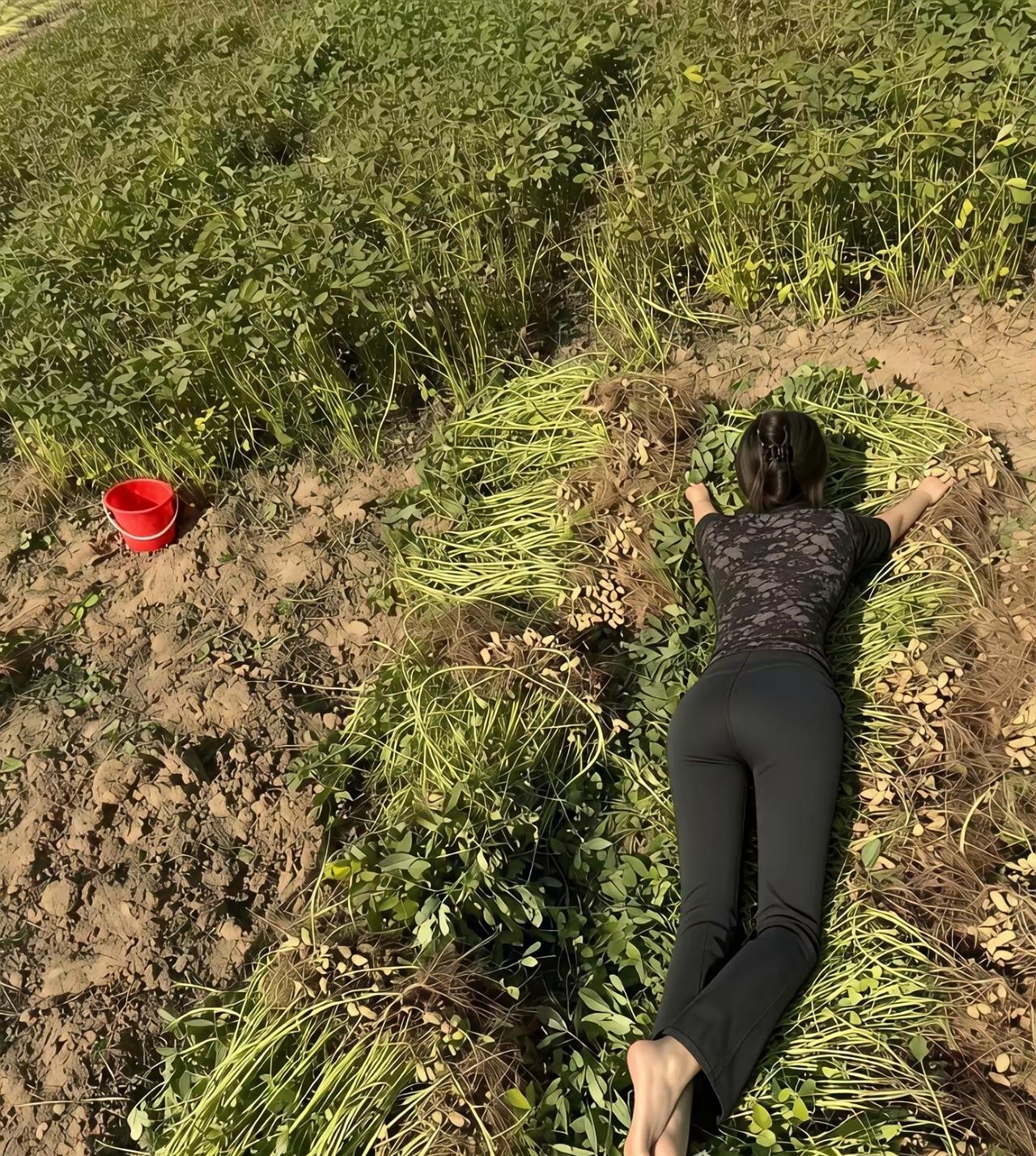 请放开花生吧！花生是无辜的！