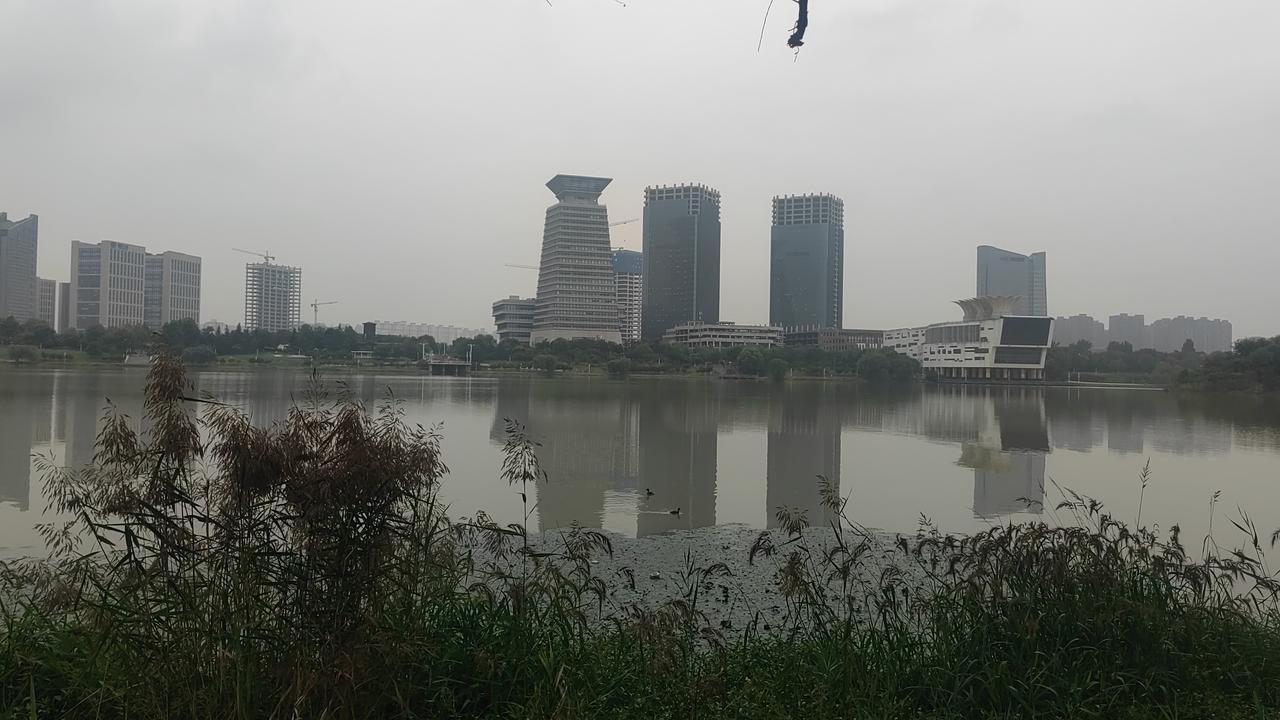 西安灞河风景：绿道上的红色彼岸花开了，顺着步道往浐灞国家湿地公园走，整片整片的艳