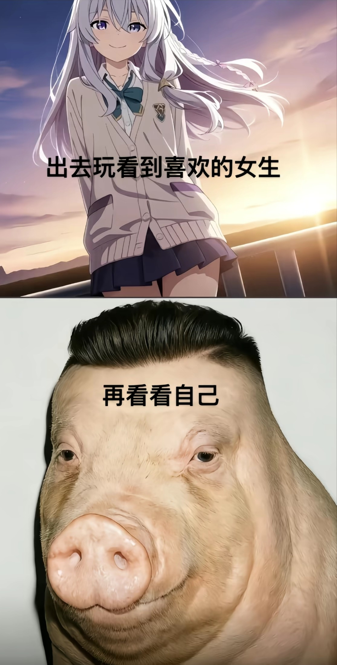 真是没法比