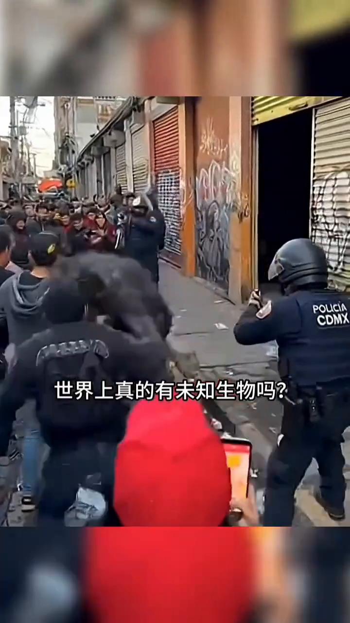 世界上真的有未知生物吗？这些画面你可能从未见过。农民的院子里出现一只酷似大鸟的