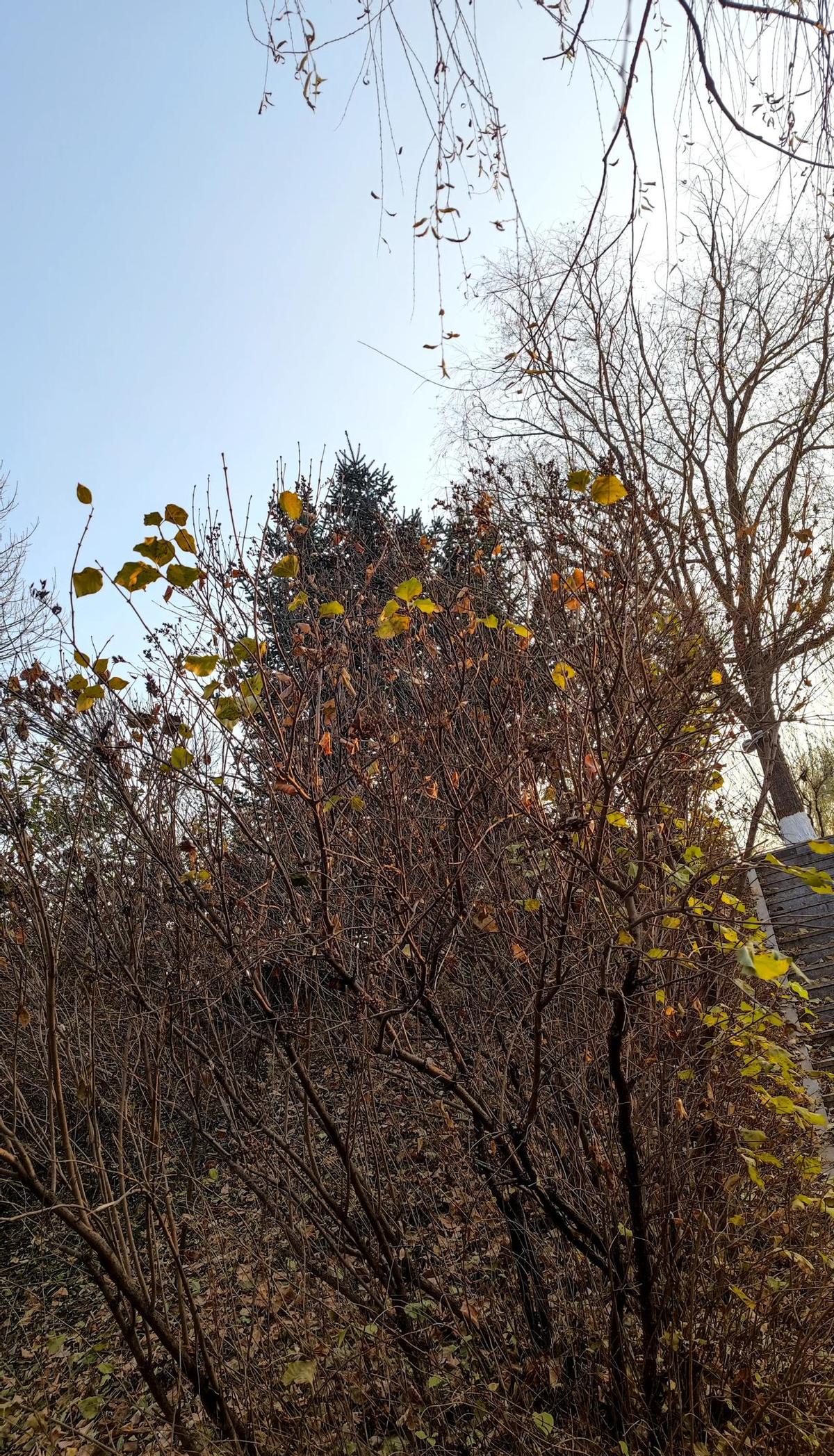 职场里真有那么卷？不是卷，是卷死了。你装傻，他使绊。你努力，他拆台。这地