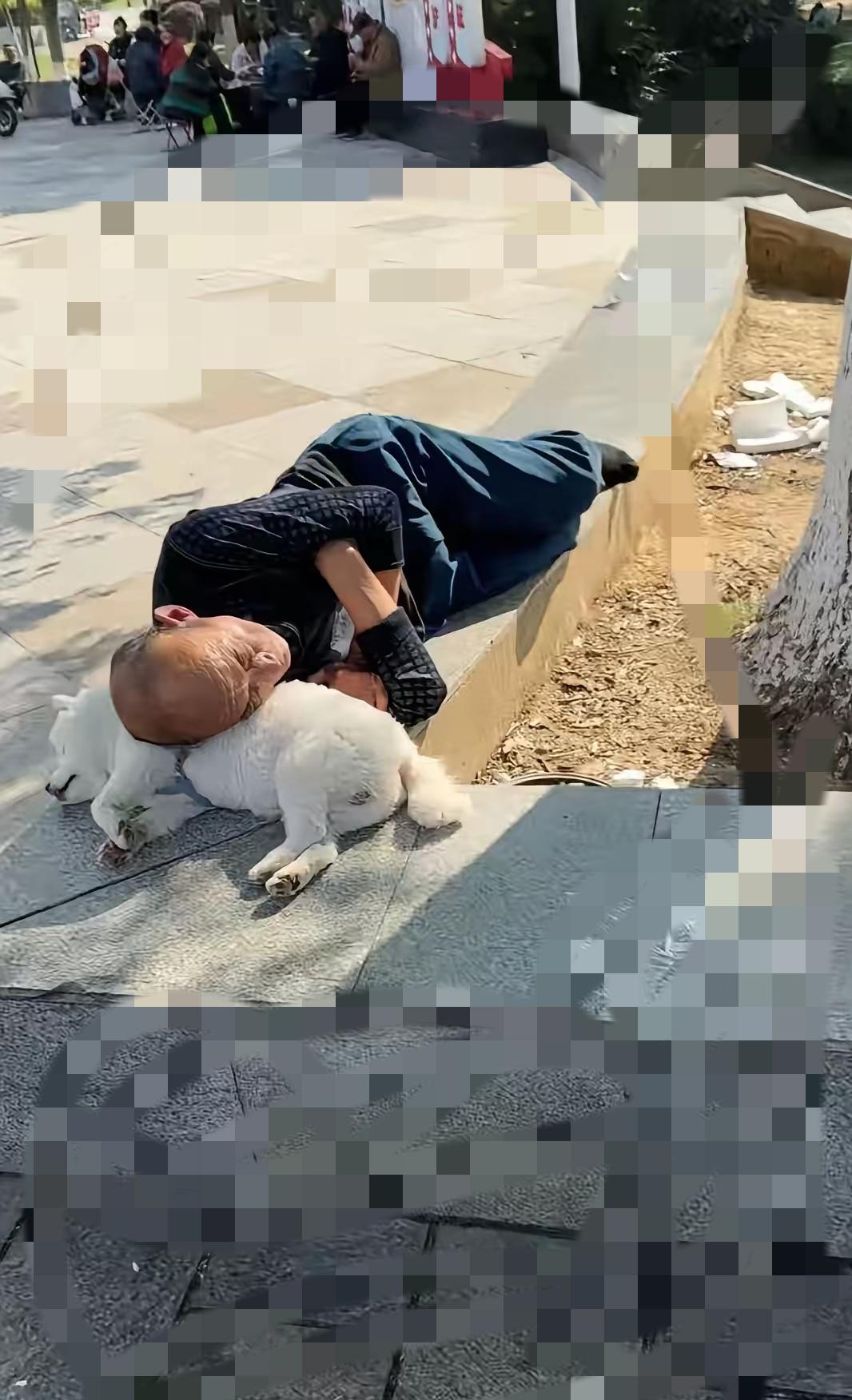 谁懂啊！菜市场旁的广场上，大爷和小狗子的“神仙同眠”，直接把平凡日子