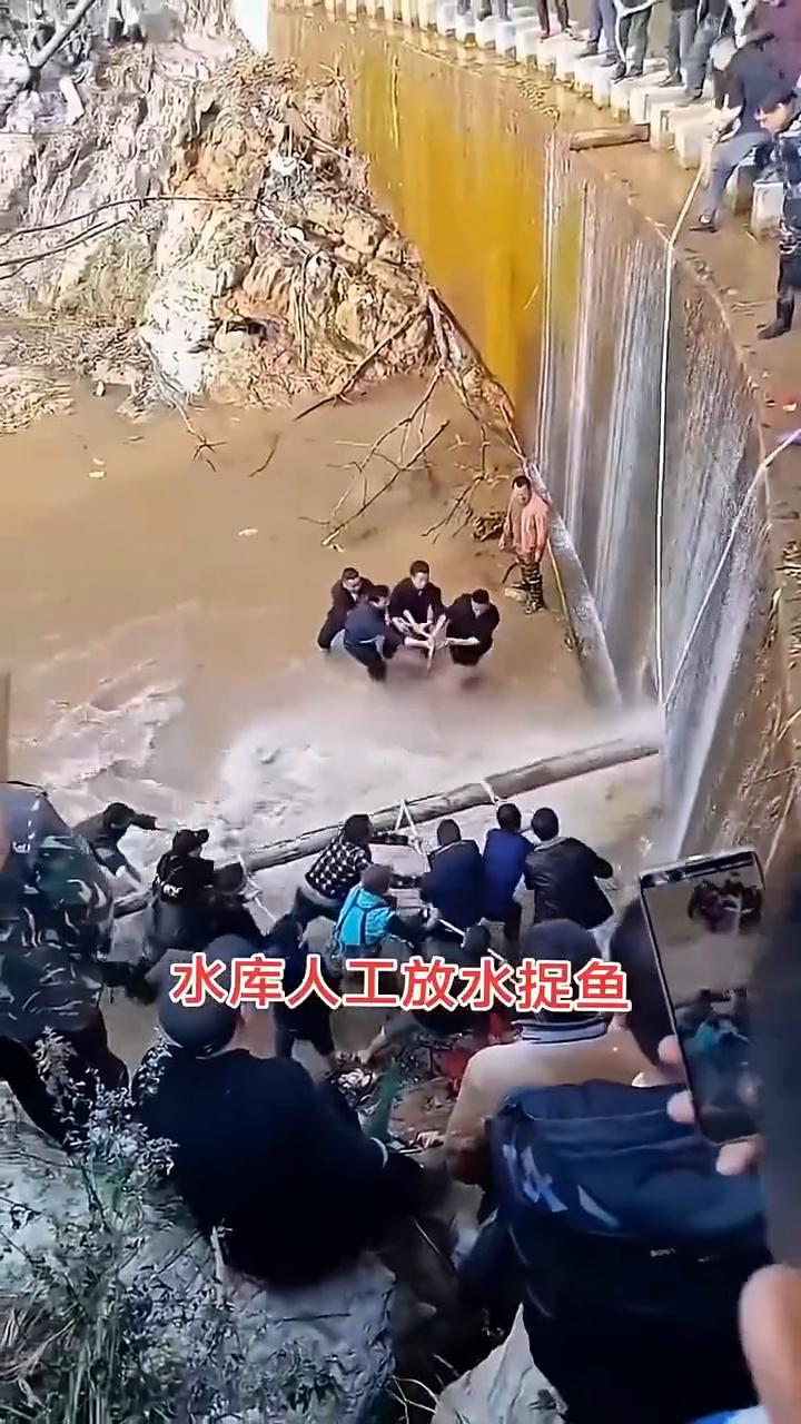 水库人工放水捉鱼。水库人工放水捉鱼。