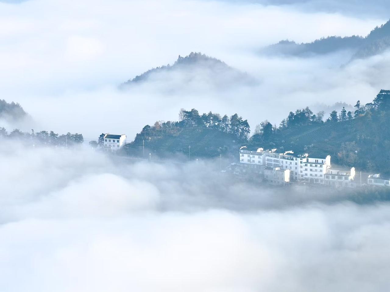 碰到一个学生家长跟我说孩子不想学习，其实又有多少孩子主动地想学习的呢？学习本来就