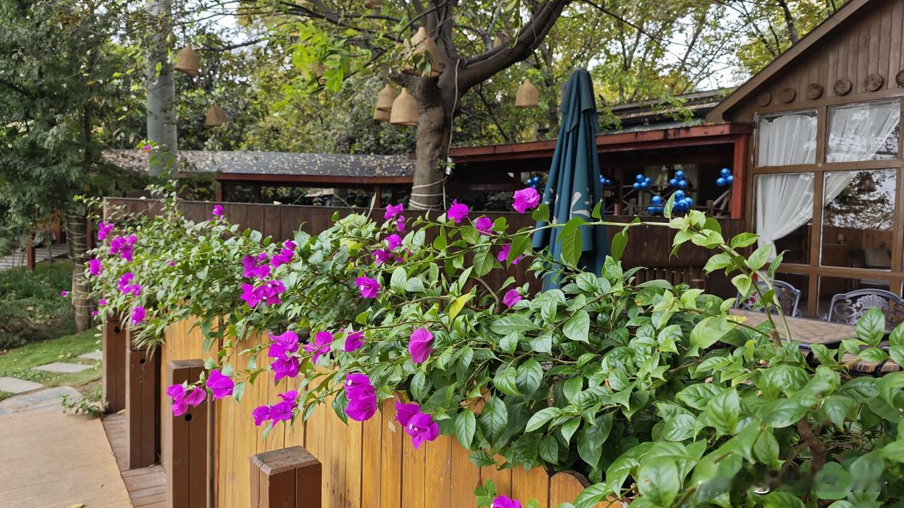 12点睡觉，第二天早上头脑昏昏沉沉的，浑身不得劲。要是11点之前就睡觉，第