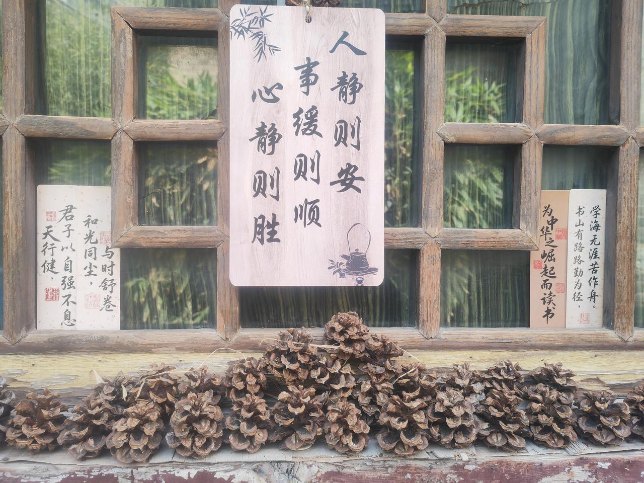 当你老了,钱和健康哪个重要?当你老了，钱和健康哪个重要？这是个值得深思的问题。