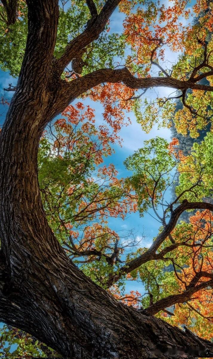 闺蜜的儿子今年高考，考到杭州的一所大学，暑假说自己去杭州旅游，但自己在那边租了房