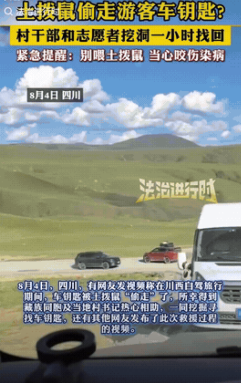 “彻底解释不清了！”近日四川，一群自驾游客来到理塘下则通村附近投喂土拨鼠，其中一