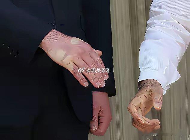 莫迪臂力惊人！你看看把英国王子小手捏出了白癜风