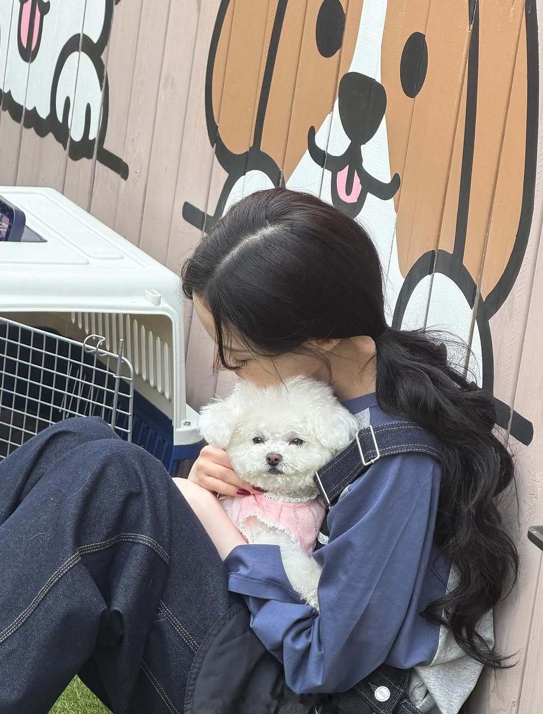 狗狗大王🐶winter:강아지들아아아아아아ㅏ아ㅏㅏ