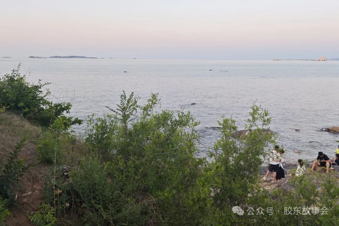 夏日炎炎啊，这几天的天气实在是太热了。[捂脸哭]我山东省的半岛地区，比如青岛、烟台、威海三市，本来夏