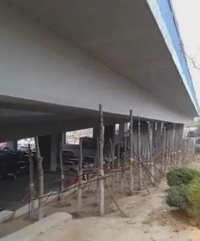 这是当年青岛种树的张某，因为市民说他种树挡住海岸线，进行的反击。他在潍坊时就