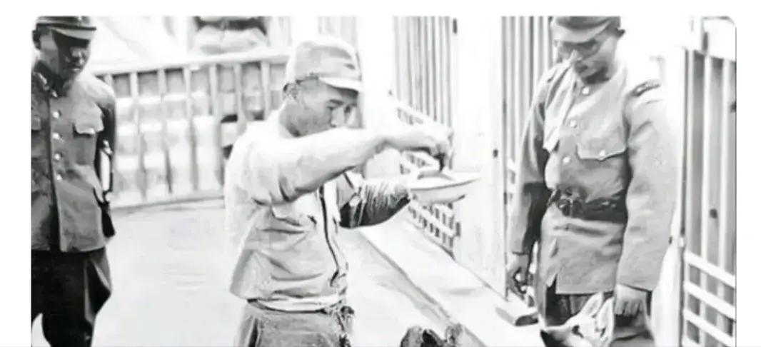 1940年，残忍的日军将一个瘦弱的小战士扔进了狼狗群。突然，一群张着血盆大口的狼