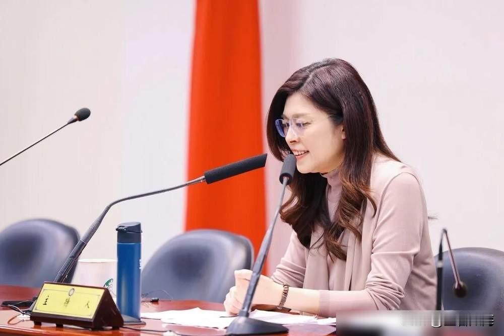 郑丽文与黄国昌有默契，陪同高虹安登记是一步好棋，格局与柯文哲高下立判！众所周