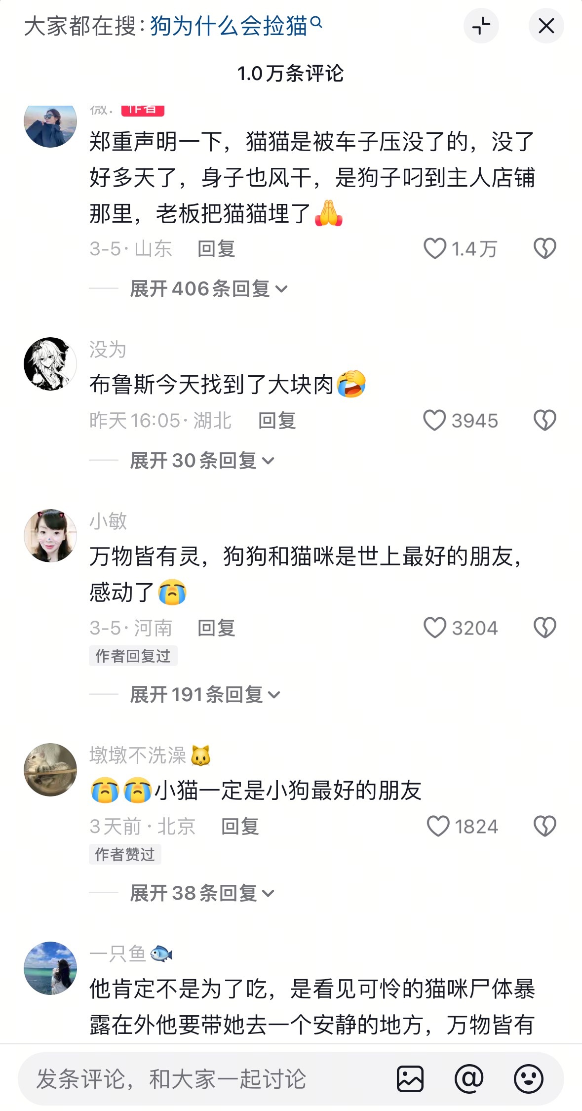 网友看到狗叼着猫，脑补一出大戏