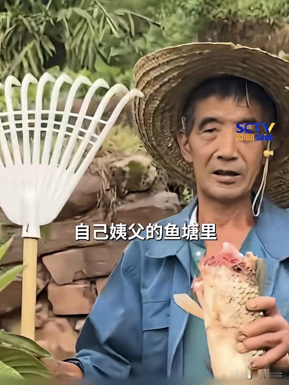这不怪了吗？四川宜宾，一塘主每天巡塘，发现塘里天天都能捞上来被咬得只剩半截的鱼，