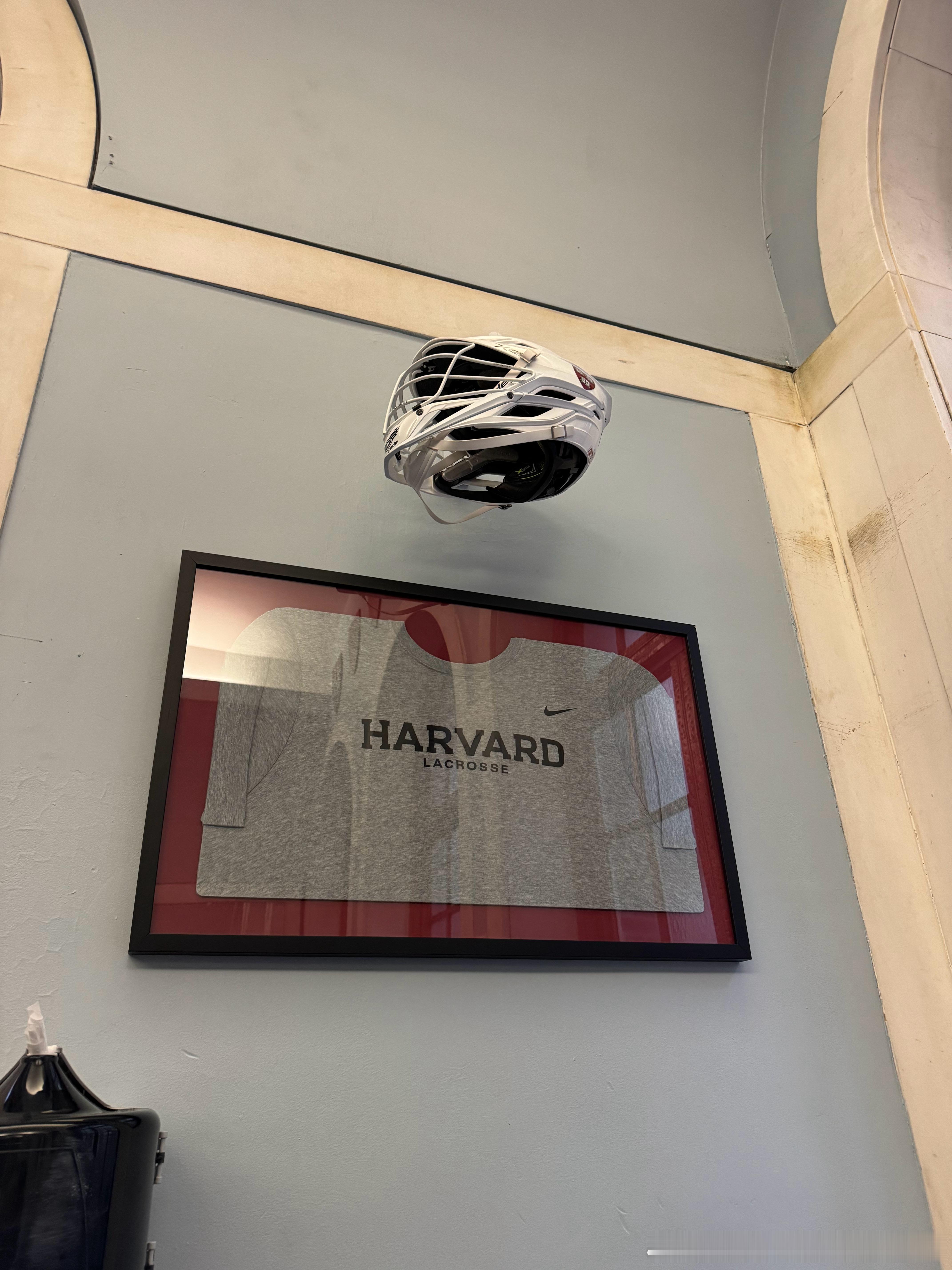 哈佛俱乐部这种装修风格很不错，挑空挂一个头盔，类似墙上挂着刀剑，火器，还有宇航员