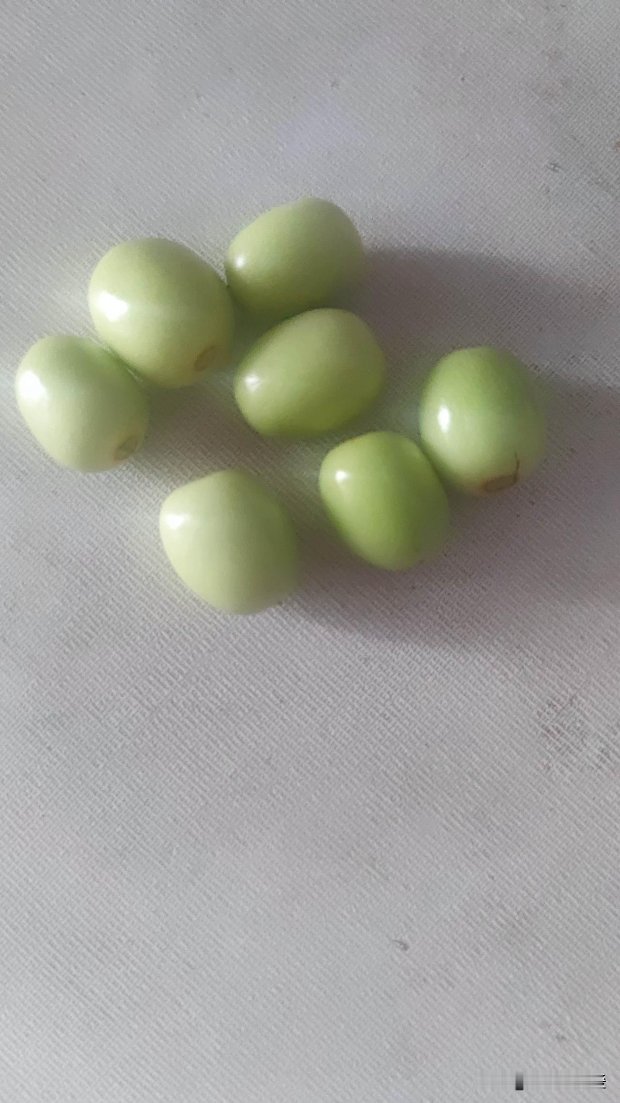 普通枣子通常在9月至10月成熟。然而，不同品种的枣子，其成熟时间存在差异。例如早