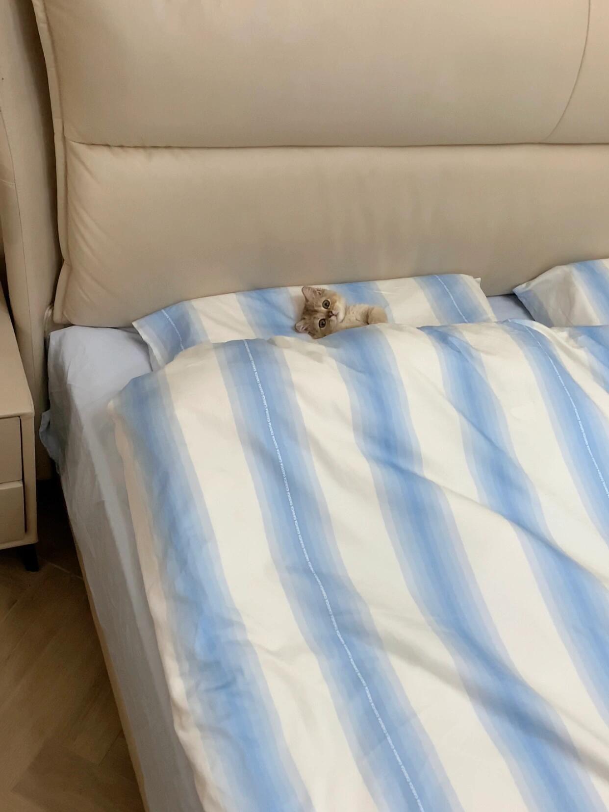 你去上班吧，我再睡一会儿~