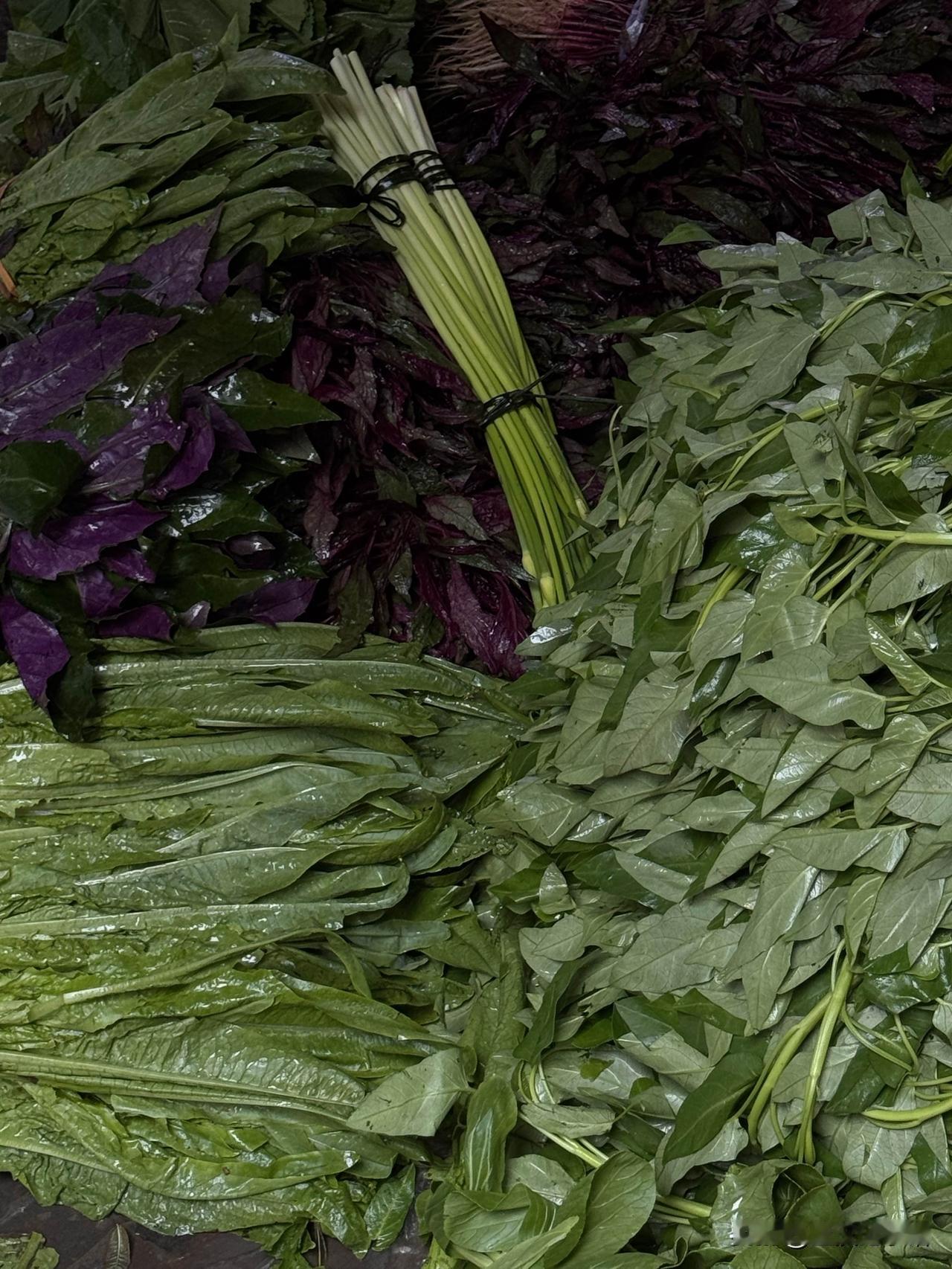 昨天去菜市场逛一逛，物价便宜到不敢信，猪肉才5块9一斤，随便挑随便选，新鲜又实惠