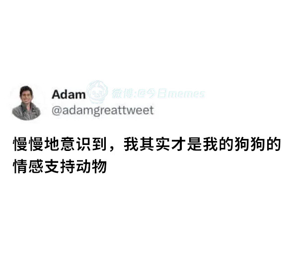 给你快乐（adamgreattweet）今日meme今日memes