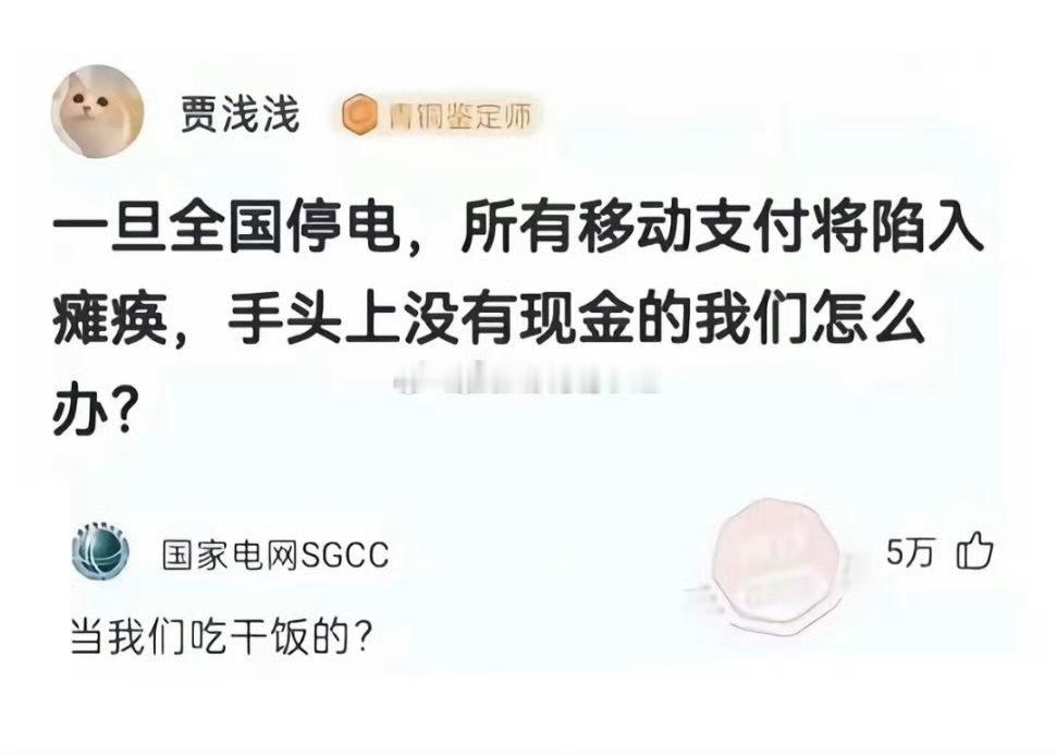 虽然图是AI的，但是能把“全国停电”讲出来的，这IP我很难猜到呢