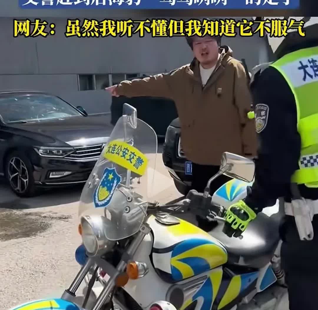最近在网上看到一个奇葩事，很搞笑。一个男子报警，说自己的车位被海豹占了，一天