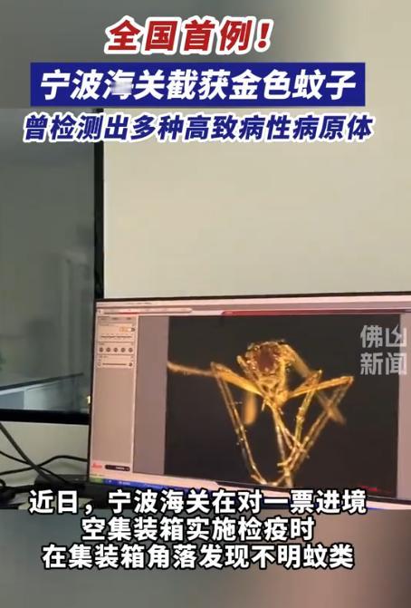 又是美国，又是病毒，这次不是实验室，是一整船“带毒蚊子”直接开到中国宁波！ 