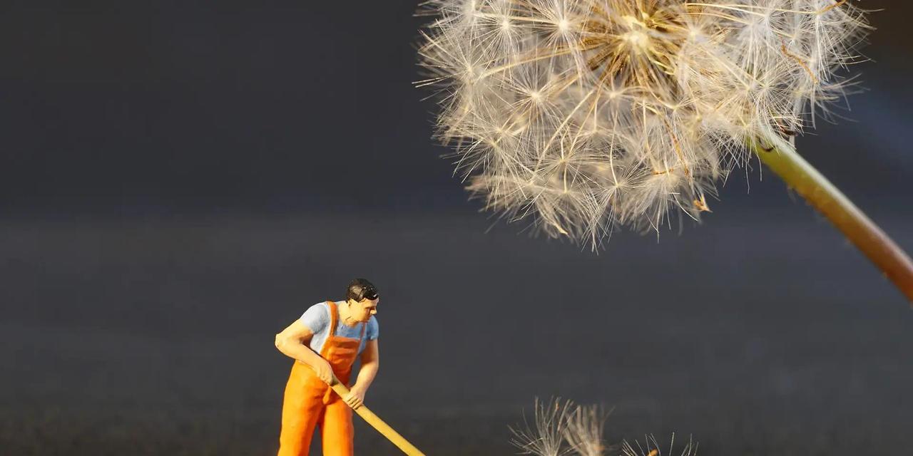 要我分析您提供的文章内容，并根据要求进行和改写。文章内容分析与：1.核