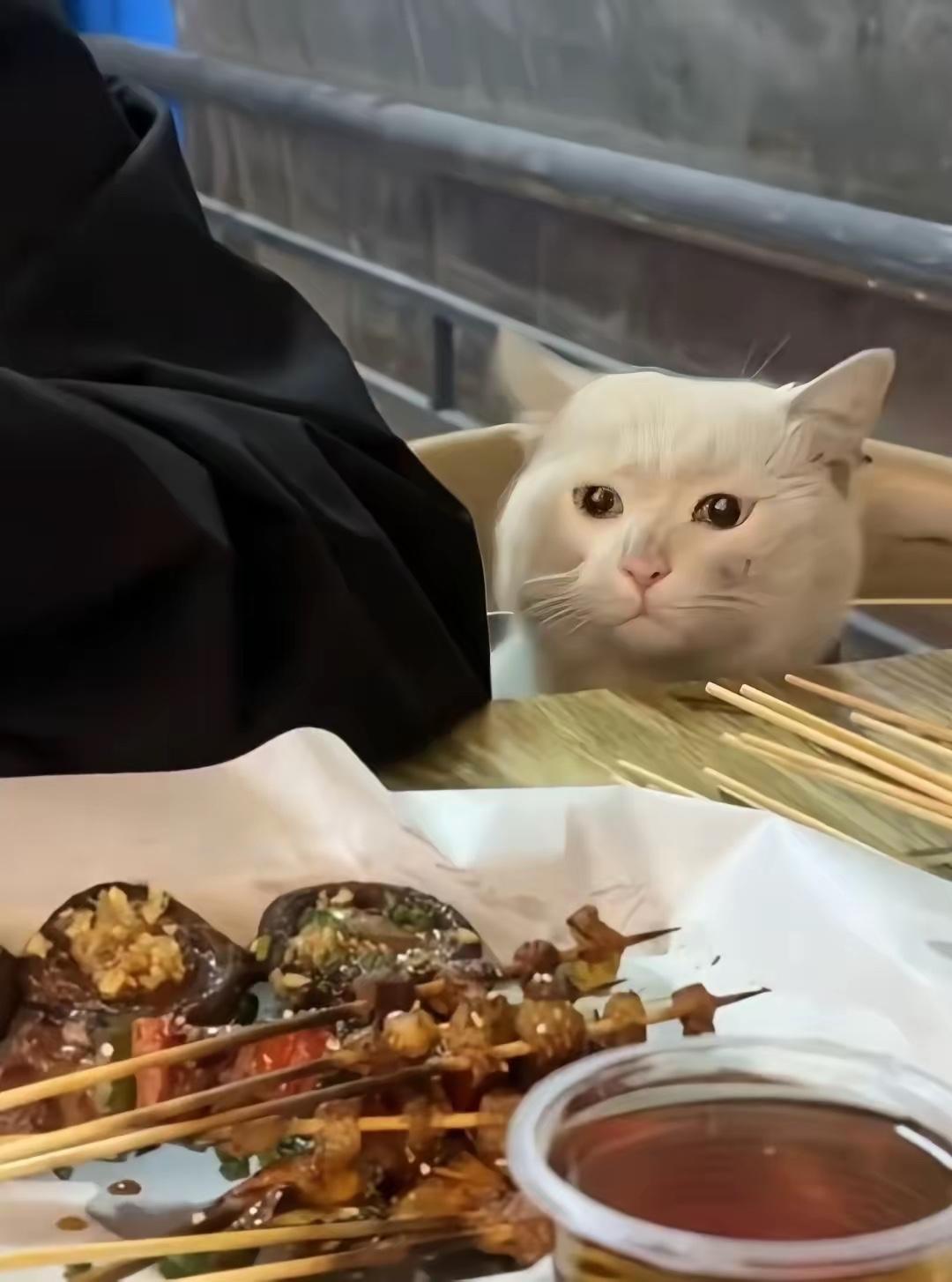 小哥在路边摊吃烧烤，吃着吃着，座位上突然冒出一只流浪猫。小流浪是只白猫，脸上脏兮