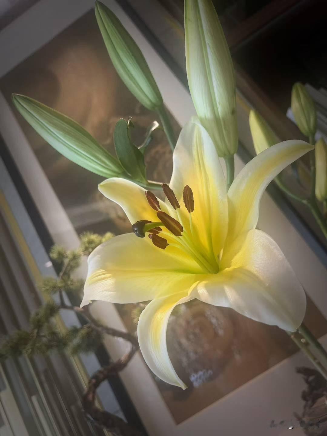 姑妈来借房给小叔子结婚，我妈宁可借给邻居办白事，也不肯借去办喜事！前几天，乡